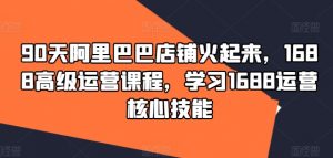 90天阿里巴巴店铺火起来,1688高级运营课程,学习1688运营核心技能-资源云