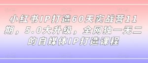 小红书IP打造60天实战营11期,5.0大升级,全网独一无二的自媒体IP打造课程-资源云