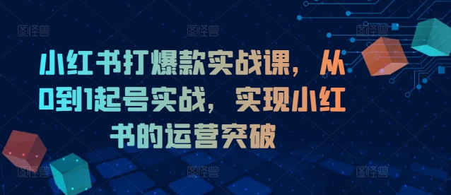 小红书打爆款实战课，从0到1起号实战，实现小红书的运营突破-资源云