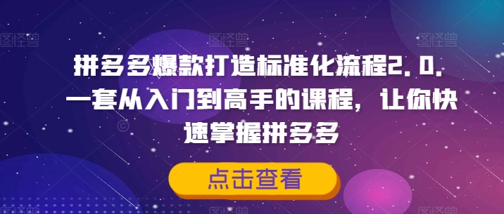 拼多多爆款打造标准化流程2.0，一套从入门到高手的课程，让你快速掌握拼多多-资源云