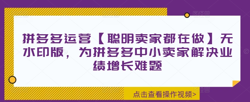 拼多多运营【聪明卖家都在做】无水印版，为拼多多中小卖家解决业绩增长难题-资源云