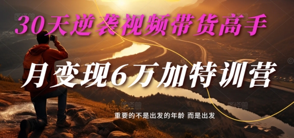 30天逆袭视频带货高手，单月变现6万加特训营-麦子甜-资源云