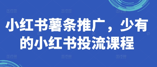 小红书薯条推广，少有的小红书投流课程-资源云