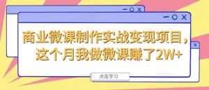商业微课制作实战变现项目,这个月我做微课赚了2W+-资源云