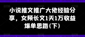 小说推文推广大佬经验分享,女频长文1天1万收益爆单思路(下)-资源云