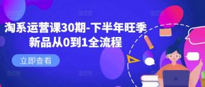 淘系运营课30期-下半年旺季新品从0到1全流程-资源云