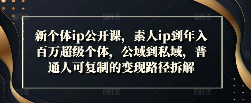 新个体ip公开课，素人ip到年入百万超级个体，公域到私域，普通人可复制的变现路径拆解-资源云