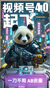 梅花实验窒微信视频号连怼玩法技巧起飞4.0一键AB破解版【揭秘】-资源云