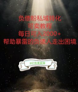 负债粉掘金计划,帮助负债者解决问题,债务规划,债务重组,最好的变现方式【揭秘】-资源云