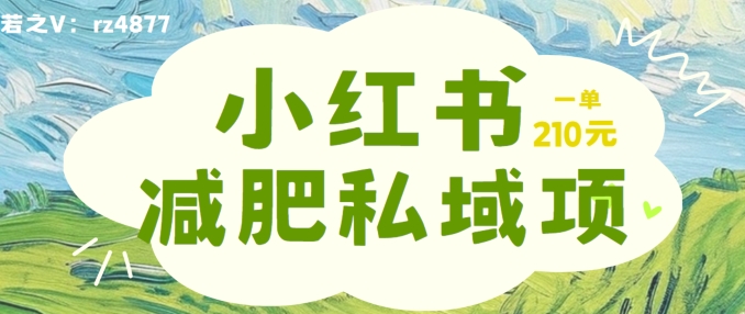小红书减肥粉，私域变现项目，一单就达210元，小白也能轻松上手【揭秘】-资源云