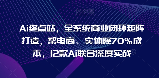 Ai终点站，全系统商业闭环矩阵打造，帮电商、实体降70%成本，12款Ai联合深度实战【0906更新】-资源云
