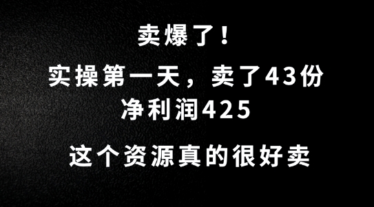 这个资源，需求很大，实操第一天卖了43份，净利润425【揭秘】-资源云