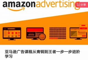 亚马逊广告课程,从青铜到王者一步一步进阶学习(更新9月)-资源云