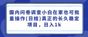 国内问卷调查小白在家也可批量操作(日结)真正的长久稳定项目,日入1k【揭秘】-资源云