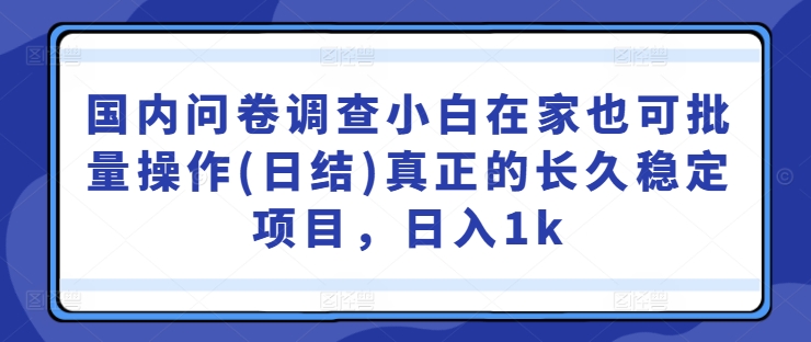 国内问卷调查小白在家也可批量操作(日结)真正的长久稳定项目，日入1k【揭秘】-资源云