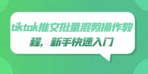 tiktok推文批量混剪操作教程,新手快速入门-资源云