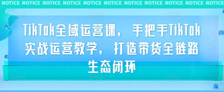 TikTok全域运营课，手把手TikTok实战运营教学，打造带货全链路生态闭环-资源云