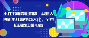 小红书电商进阶版,从新人进阶小红薯电商大佬,全方位玩透红薯电商-资源云
