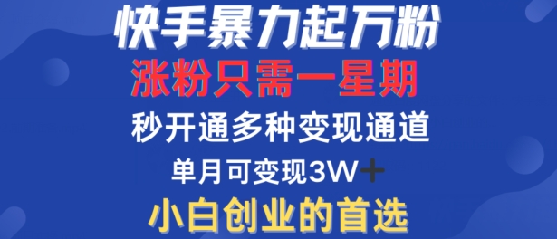 快手暴力起万粉，涨粉只需一星期，多种变现模式，直接秒开万合，单月变现过W【揭秘】-资源云