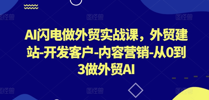 AI闪电做外贸实战课，​外贸建站-开发客户-内容营销-从0到3做外贸AI（更新）-资源云