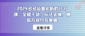 2024多多运营必听的12节课,全程干货,玩法实操,爆款方案尽在掌握-资源云