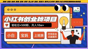 小红书创业粉项目日+500粉,每天20分钟躺赚长尾收益,无脑操作,宝妈,小白抓紧冲【揭秘】-资源云