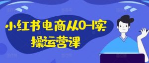 小红书电商从0-1实操运营课,小红书手机实操小红书/IP和私域课/小红书电商电脑实操板块等-资源云