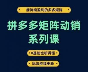 拼多多矩阵动销系列课,能持续盈利的多多矩阵,0基础也听得懂,玩法持续更新-资源云
