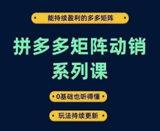 拼多多矩阵动销系列课，能持续盈利的多多矩阵，0基础也听得懂，玩法持续更新-资源云