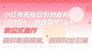 小红书无脑每日引流创业粉500+,小白每天只花半小时,躺赚长尾收益【揭秘】-资源云
