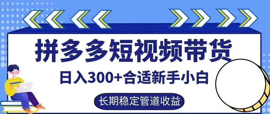 拼多多短视频带货日入300+有长期稳定被动收益，合适新手小白【揭秘】-资源云