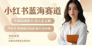 小红书蓝海赛道,圈中高端职场人,月入无上限,可矩阵,内含私域实操教程!-资源云