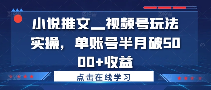 小说推文—视频号玩法实操，单账号半月破5000+收益-资源云