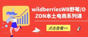 wildberriesWB野莓/OZON本土电商系列课,掌握WB产品优化,出单技巧和订单处理等-资源云