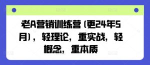 老A营销训练营(更24年9月),轻理论,重实战,轻概念,重本质-资源云