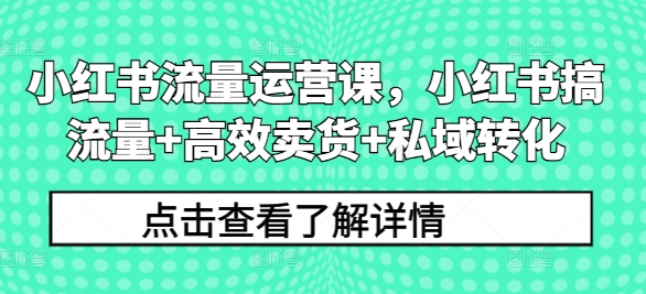 小红书流量运营课，小红书搞流量+高效卖货+私域转化-资源云