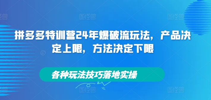 拼多多特训营24年爆破流玩法，产品决定上限，方法决定下限，各种玩法技巧落地实操-资源云