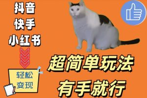 超简单玩法,有手就行,靠猫咪视频日入500+【揭秘】-资源云