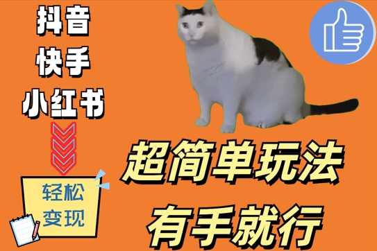 超简单玩法，有手就行，靠猫咪视频日入500+【揭秘】-资源云