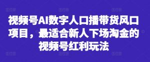 视频号AI数字人口播带货风口项目,最适合新人下场淘金的视频号红利玩法-资源云