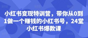 小红书变现特训营,带你从0到1做一个赚钱的小红书号,24堂小红书爆款课-资源云