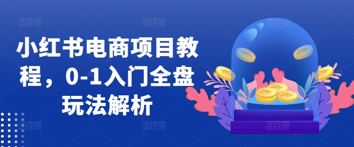小红书电商项目教程，0-1入门全盘玩法解析-资源云