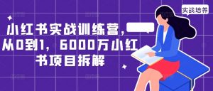 小红书实战训练营，从0到1，6000万小红书项目拆解-资源云