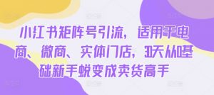 小红书矩阵号引流,适用于电商、微商、实体门店,30天从0基础新手蜕变成卖货高手-资源云