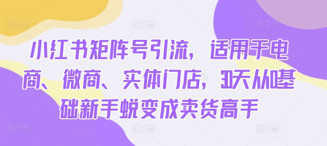 小红书矩阵号引流，适用于电商、微商、实体门店，30天从0基础新手蜕变成卖货高手-资源云
