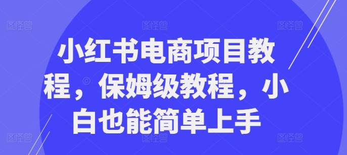 小红书电商项目教程，保姆级教程，小白也能简单上手-资源云