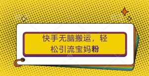 快手无脑搬运,轻松引流宝妈粉,纯小白轻松上手【揭秘】-资源云