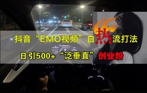 抖音EMO视频自热打法，日引500+“泛垂直”创业粉-资源云