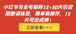 小红书专业号矩阵12+30天引流陪跑训练营,简单易操作,15天可出成绩!-资源云