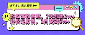 超级涨粉赛道,每天半小时,7天涨粉2W+,轻松过原创,三月变现5W+【揭秘】-资源云